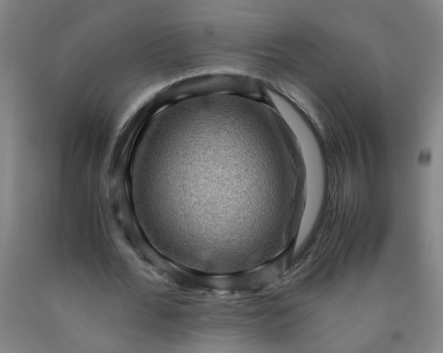 X0000091960676200709271346