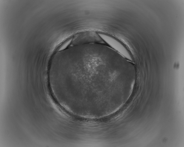 X0000091960677200709271346