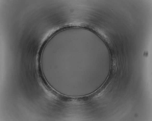 X0000091960678200709271346