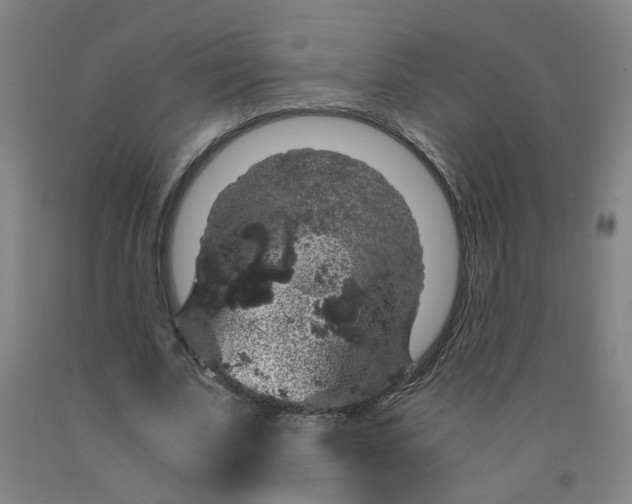 X0000091960679200709271346