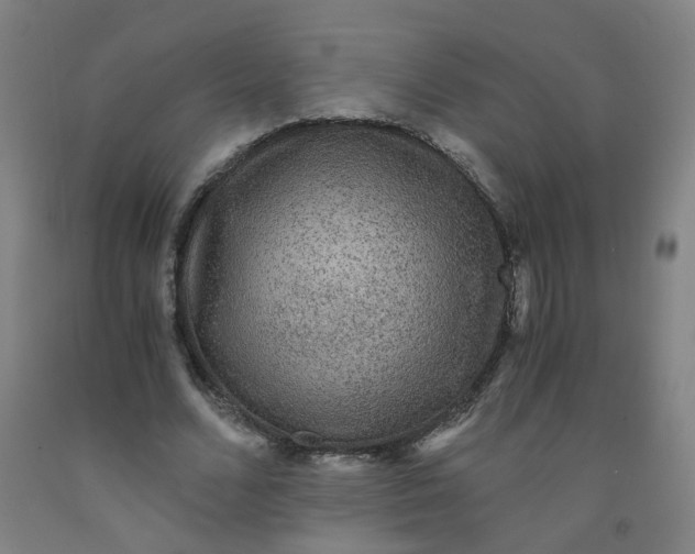 X0000091960680200709271346