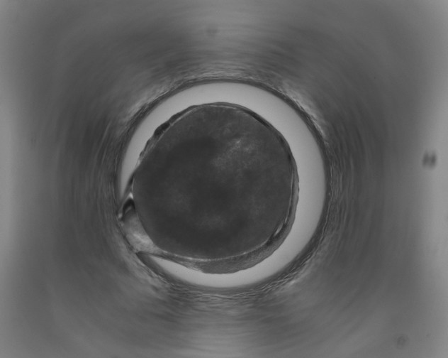 X0000091960681200709271346