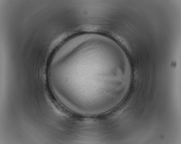 X0000091960682200709271346