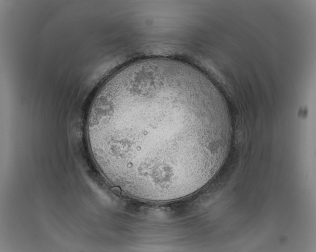 X0000091960683200709271346