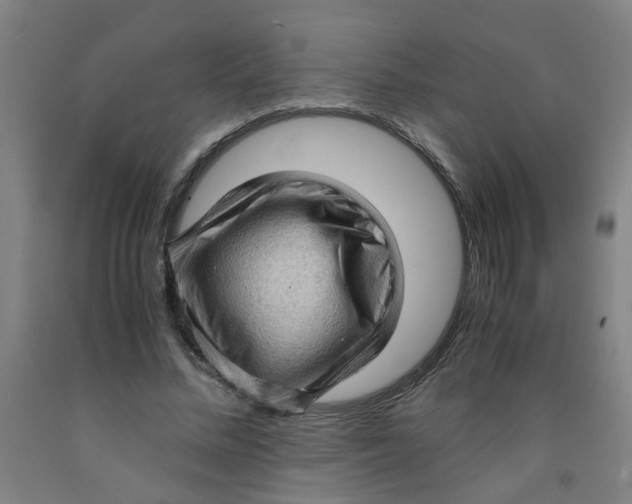 X0000091960684200709271346