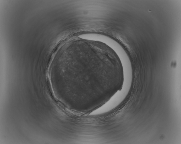 X0000091960685200709271346