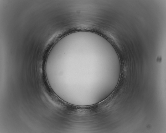 X0000091960686200709271346