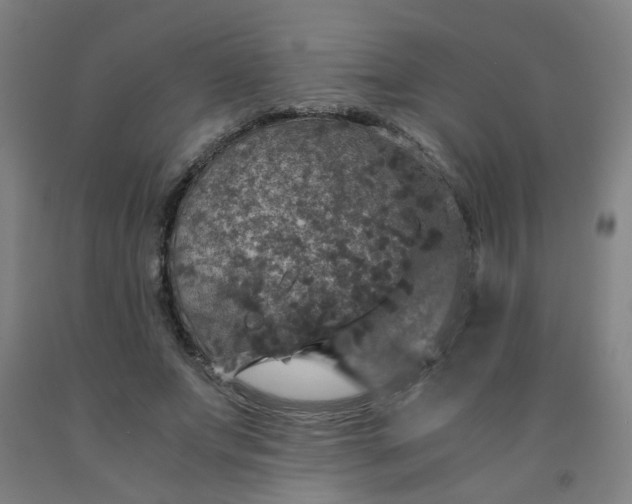 X0000091960687200709271346