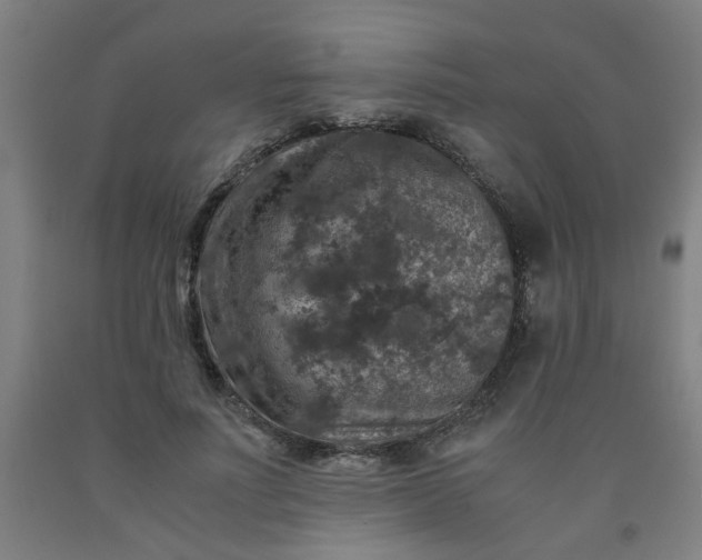 X0000091960691200709271346