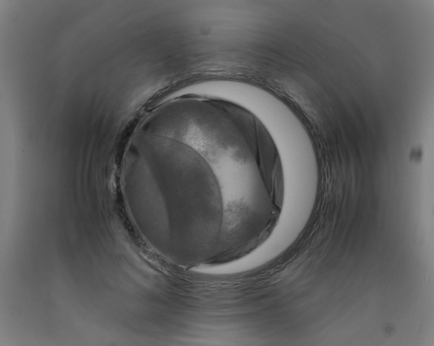 X0000091960692200709271346