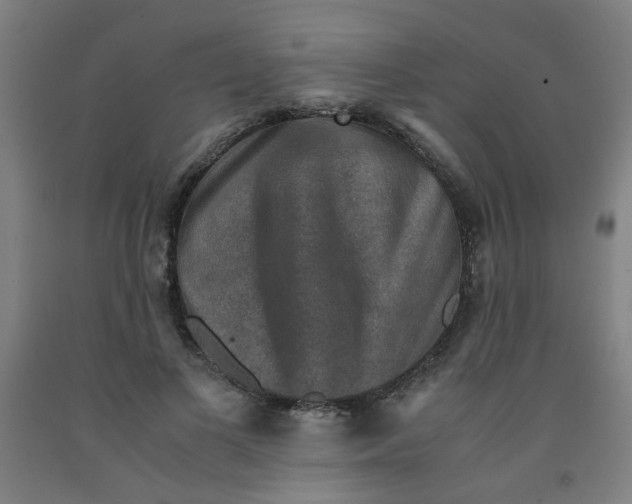 X0000091960693200709271346