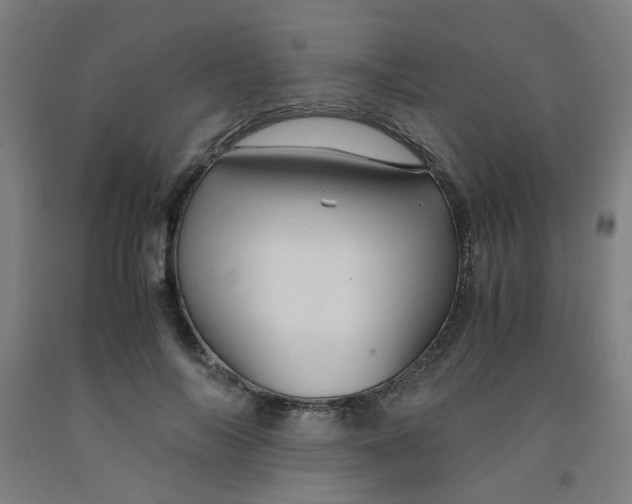 X0000091960694200709271346