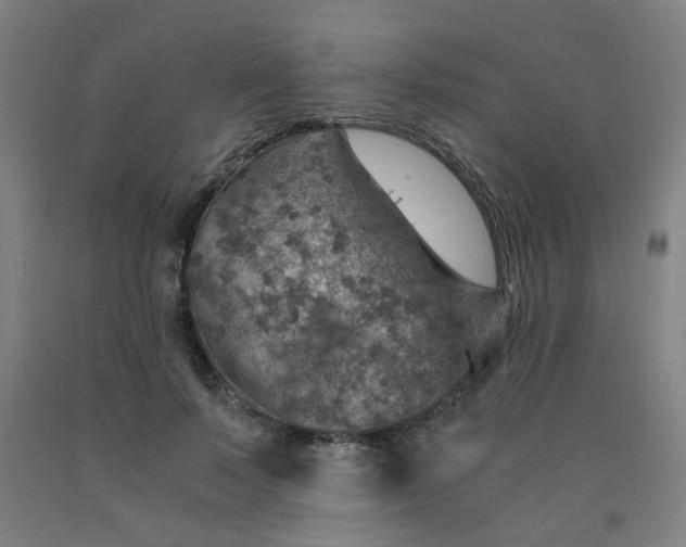 X0000091960695200709271346