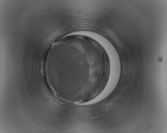 X0000091960696200709271346