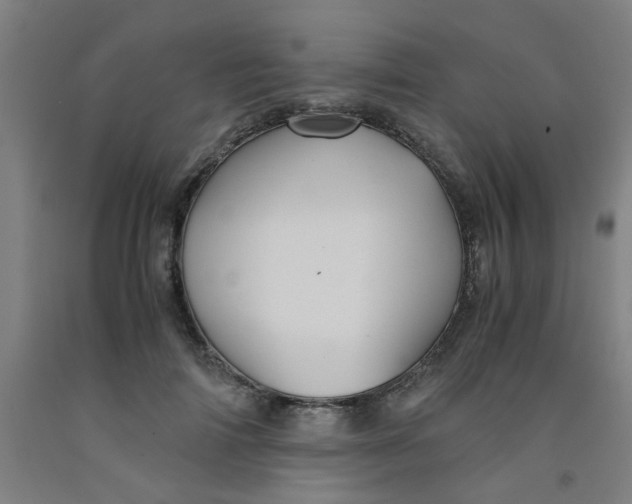 X0000091960698200709271346