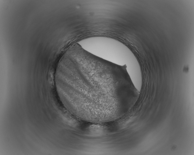 X0000091960699200709271346