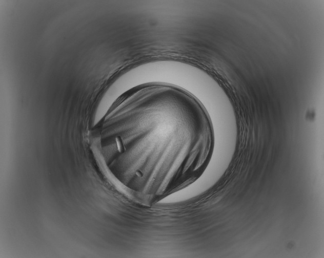 X0000091960700200709271346