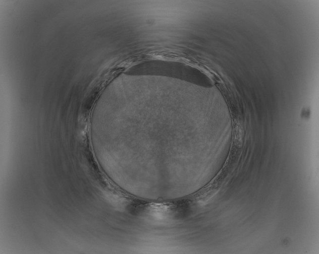 X0000091960701200709271346