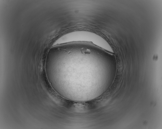 X0000091960703200709271346