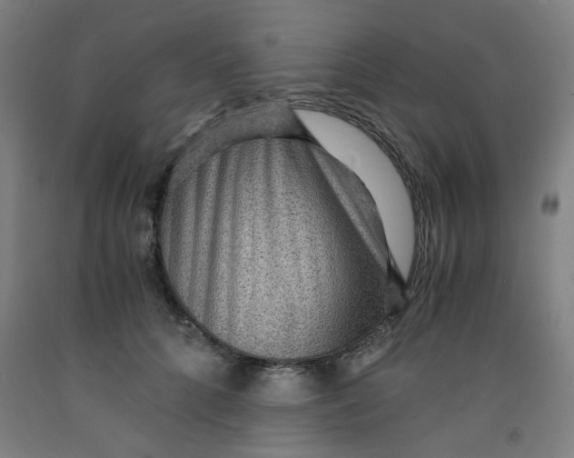 X0000091960704200709271346