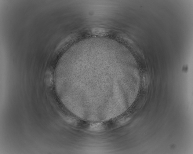 X0000091960705200709271346