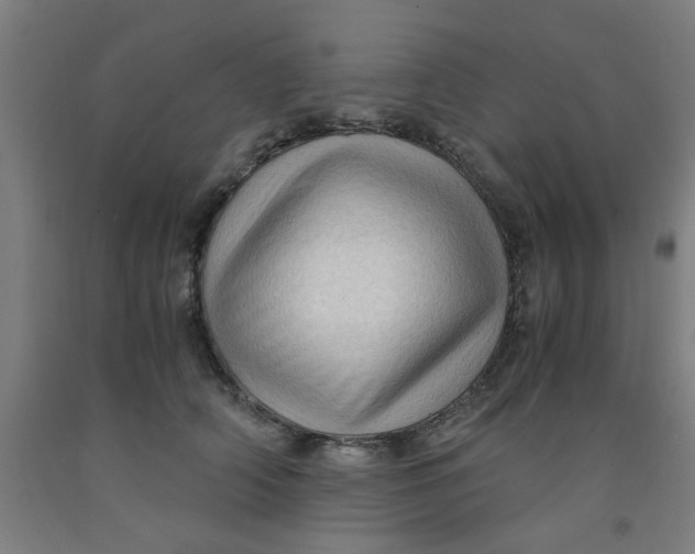 X0000091960706200709271346