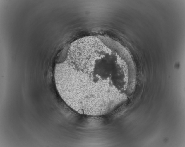 X0000091960707200709271346