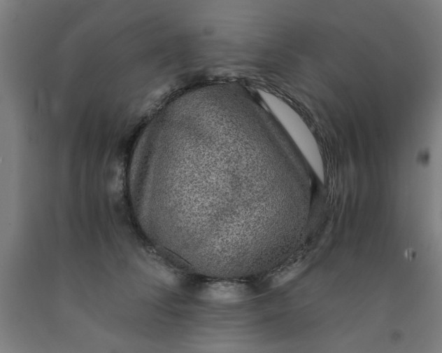 X0000091960708200709271346