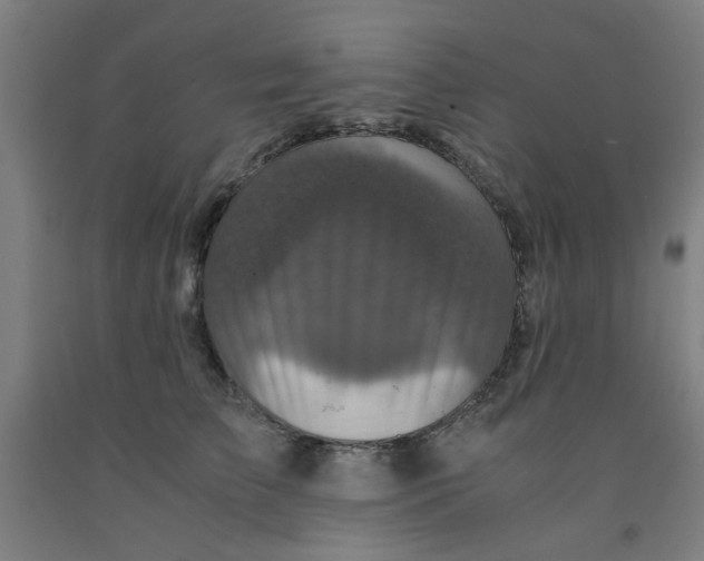 X0000091960709200709271346