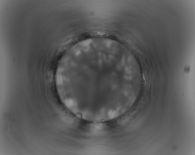 X0000091960711200709271346