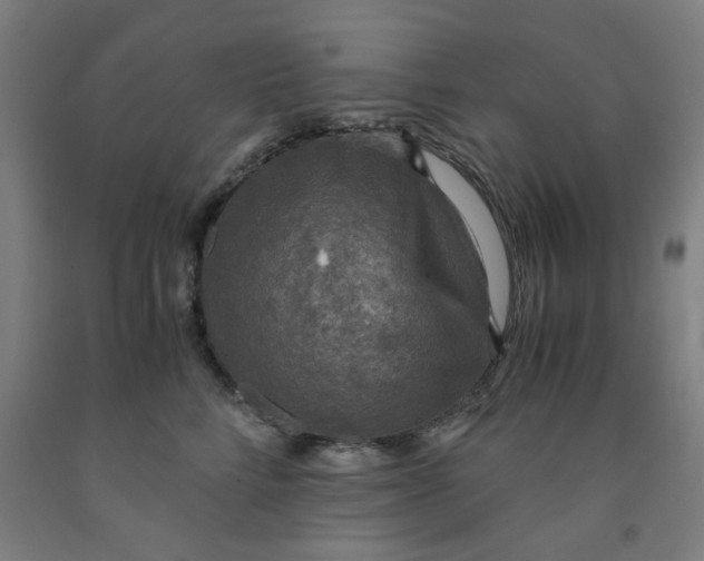 X0000091960712200709271346