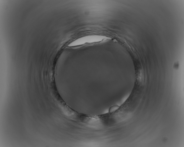 X0000091960715200709271346