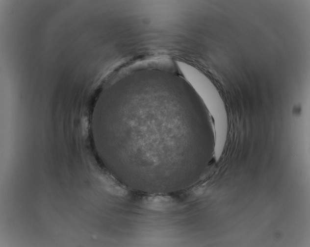 X0000091960716200709271346