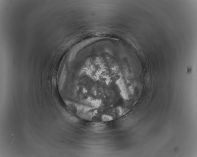 X0000091960719200709271346