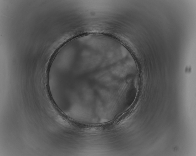 X0000091960721200709271345