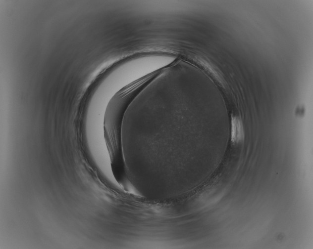 X0000091960723200709271345