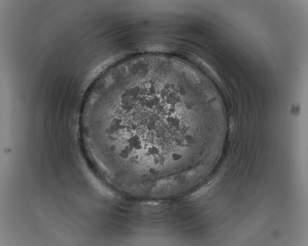 X0000091960725200709271345