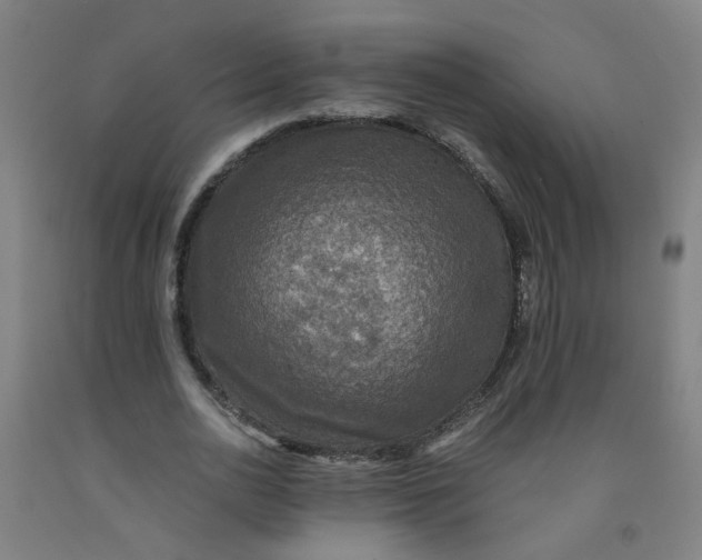 X0000091960726200709271345