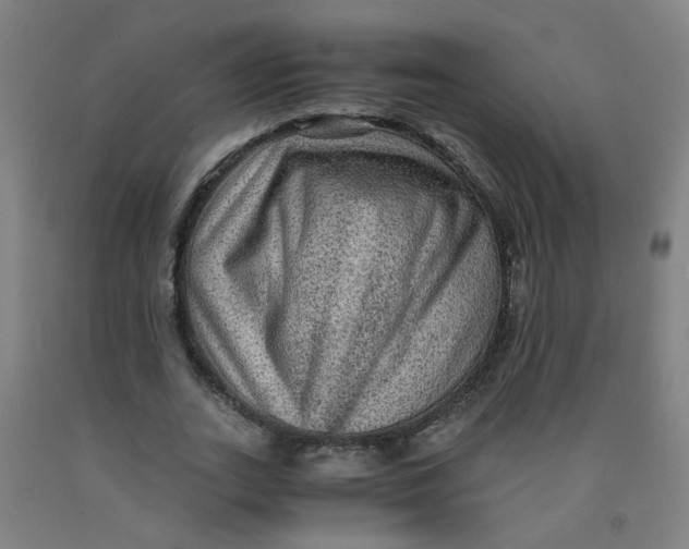 X0000091960727200709271345