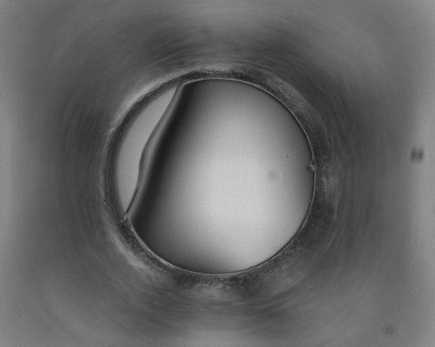 X0000091960728200709271345