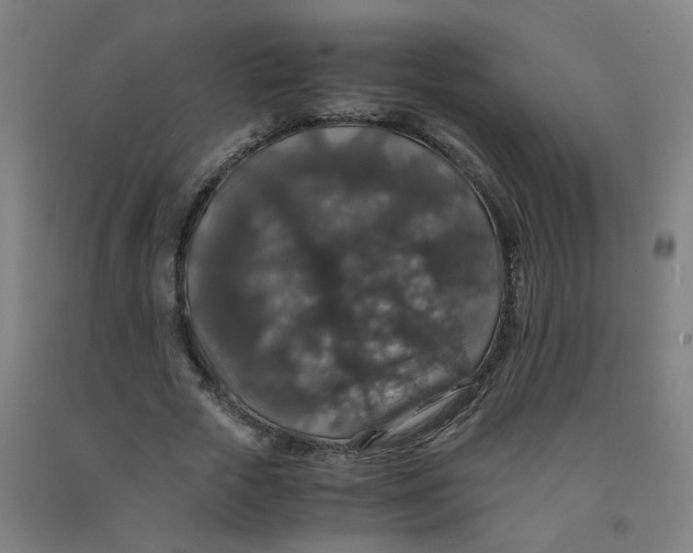 X0000091960729200709271345