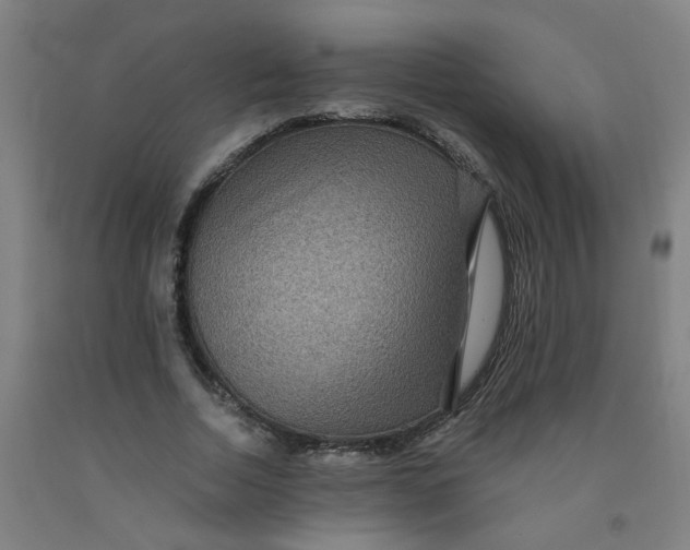 X0000091960730200709271345