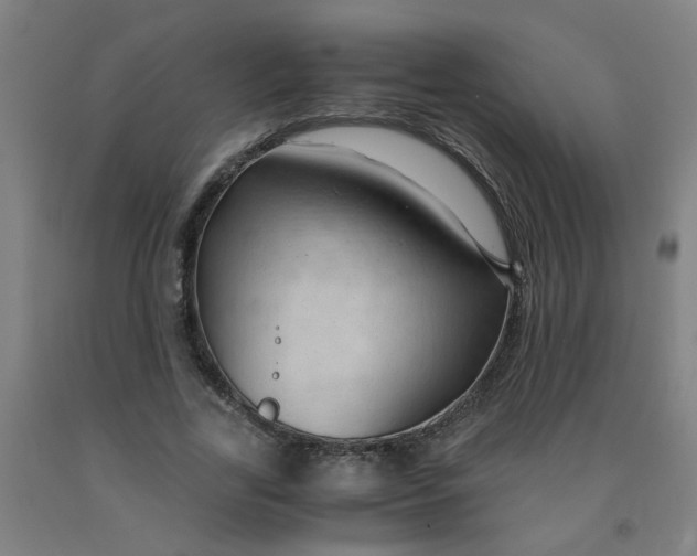 X0000091960731200709271345