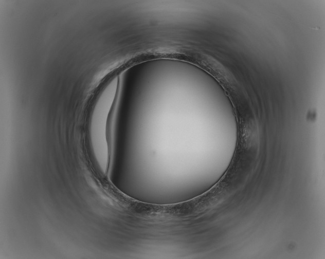 X0000091960732200709271345