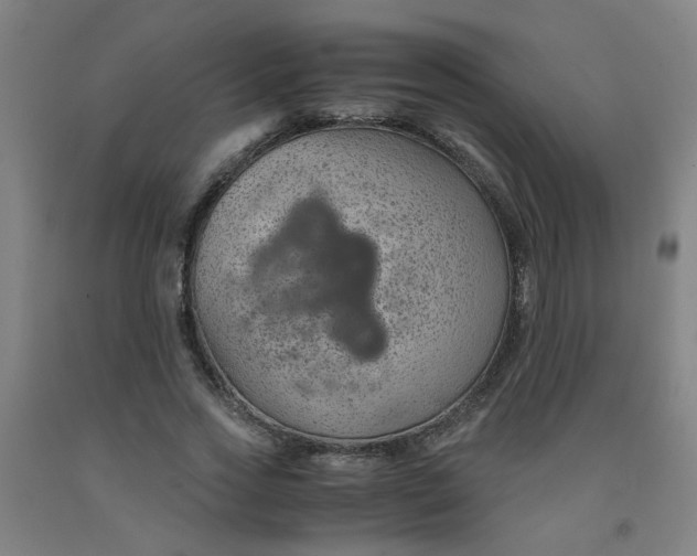 X0000091960733200709271345