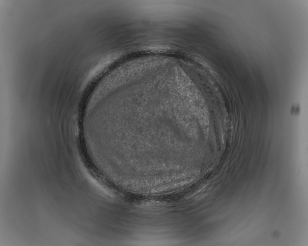 X0000091960734200709271345