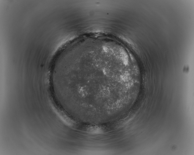 X0000091960735200709271346