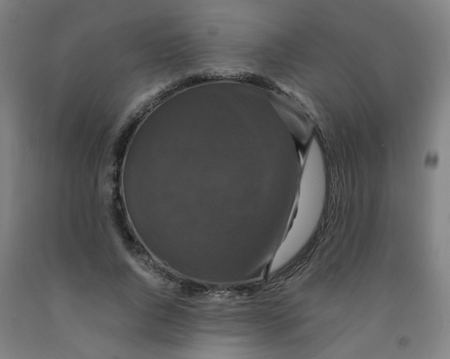 X0000091960736200709271346