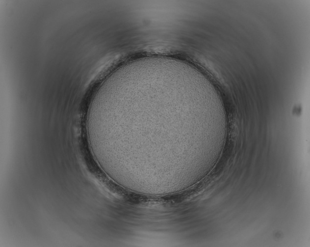 X0000091960738200709271346