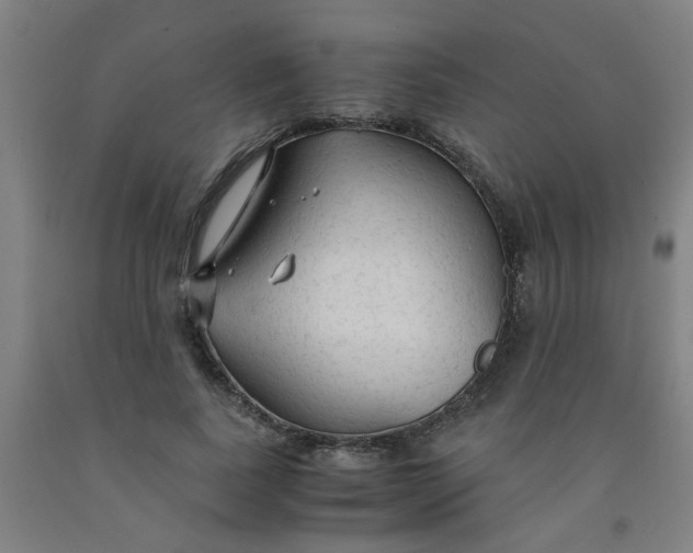 X0000091960739200709271346